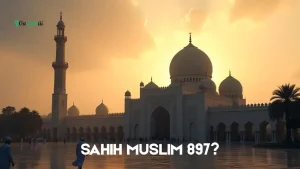 sahih muslim 897