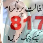 maryam nawaz sharif 8171 web portal