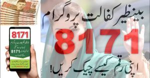 maryam nawaz sharif 8171 web portal